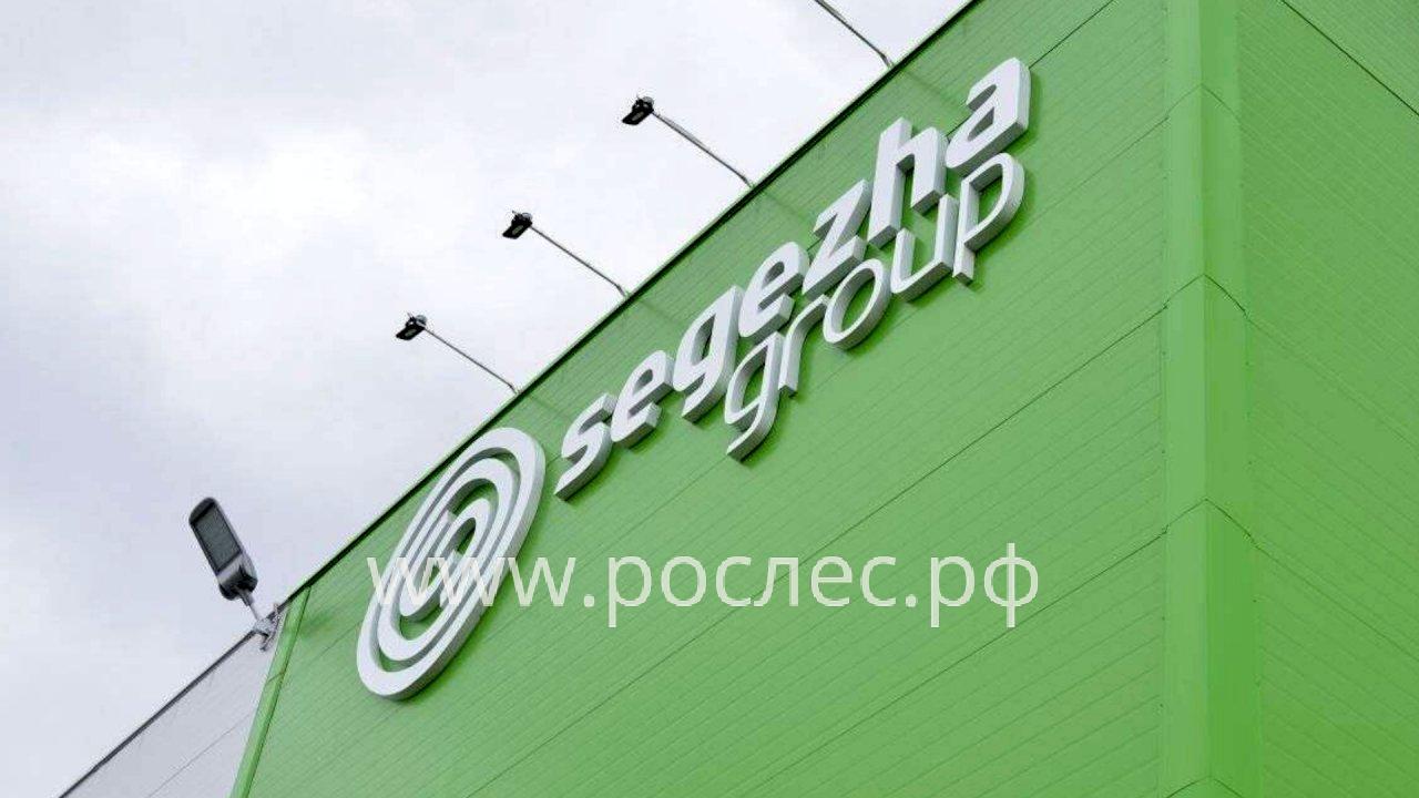Segezha Group потеряла более 40% выручки Причиной стало эмбарго ЕС на поставки продукции и укрепление рубля